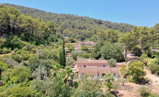 Villa in Solliès-Ville, Provence-Alpes-Côte d'Azur, France 1