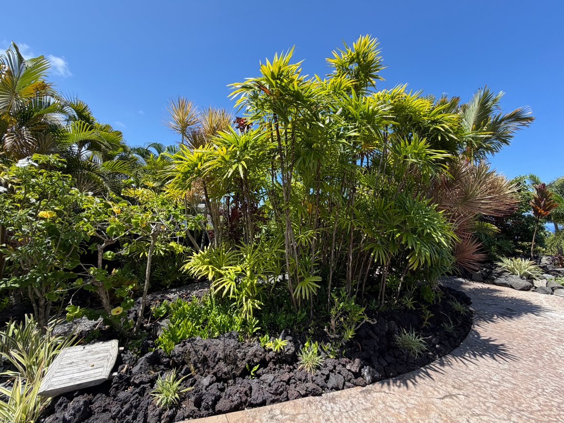 House in Kailua-Kona, Hawaii, United States 3 - 18415119