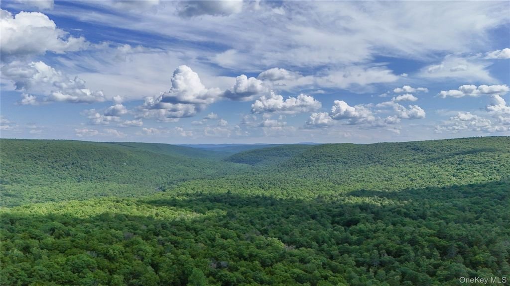 Land in Forestburgh, New York, United States 1 - 18415745