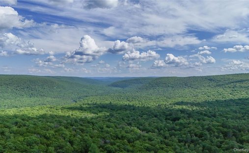 Terreno a Forestburgh, New York, Stati Uniti 1