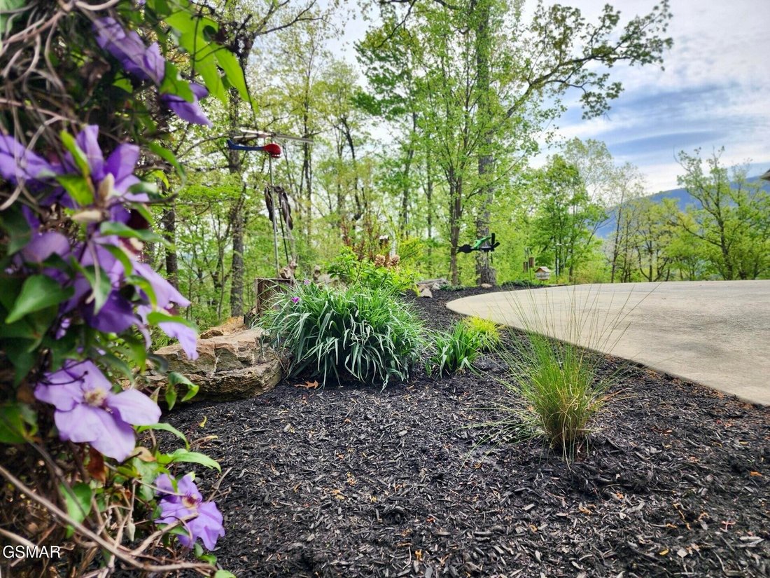 House in Sevierville, Tennessee, United States 5 - 18409267