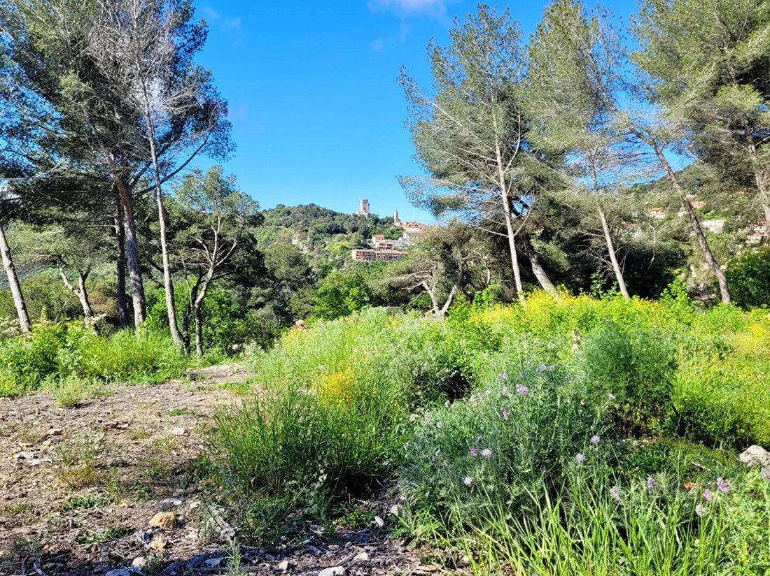 Land in La Turbie, Provence-Alpes-Côte d'Azur, France 4 - 18405295