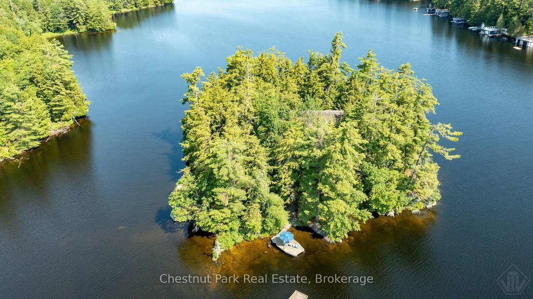 House in Muskoka Lakes, Ontario, Canada 1 - 18416839
