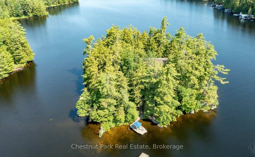 Maison à Muskoka Lakes, Ontario, Canada 1