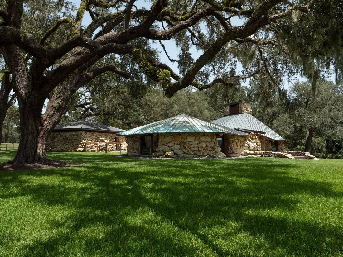 Terreno a Reddick, Florida, Stati Uniti 2 - 18403365
