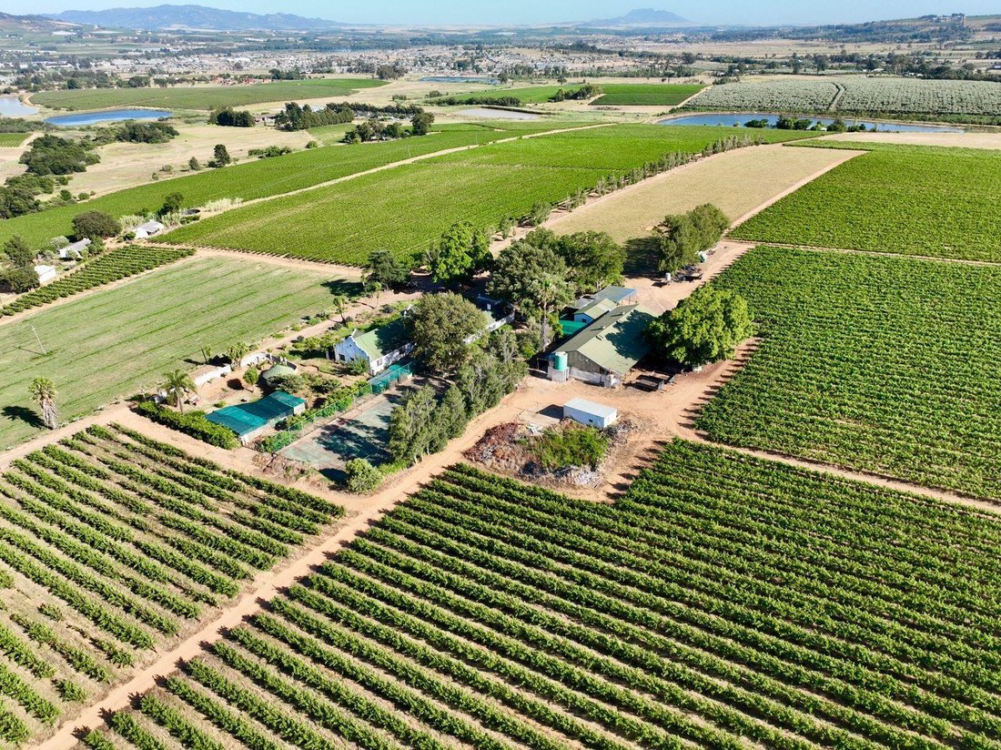 Farm Ranch in Paarl, Groenvlei, Western Cape 5 - 13384273
