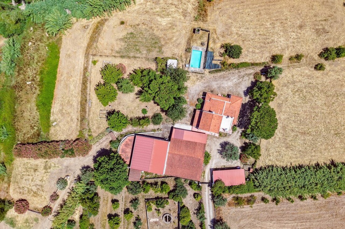 Farm Ranch in Alvega e Concavada, Santarem District, Portugal 3 - 17427141