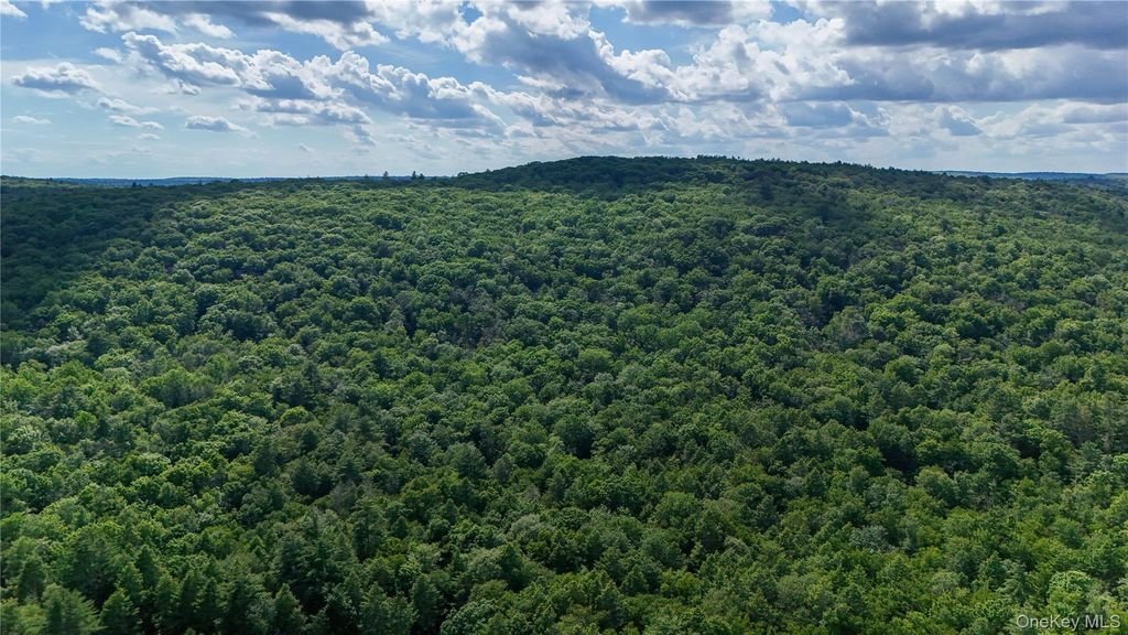 Land in Forestburgh, New York, United States 3 - 18415745