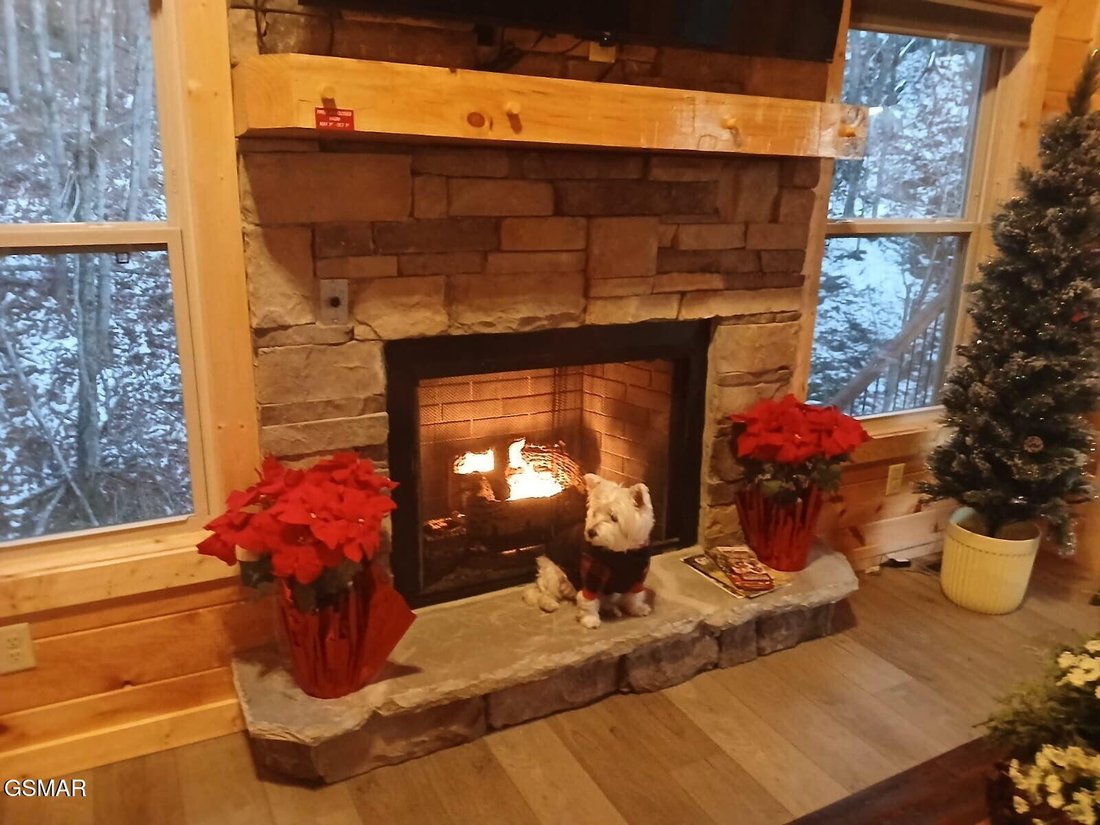 House in Sevierville, Tennessee, United States 5 - 18403345