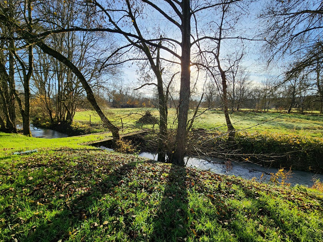Villa in Saint-Jean-Saint-Germain, Centre-Val de Loire, France 4 - 18405408