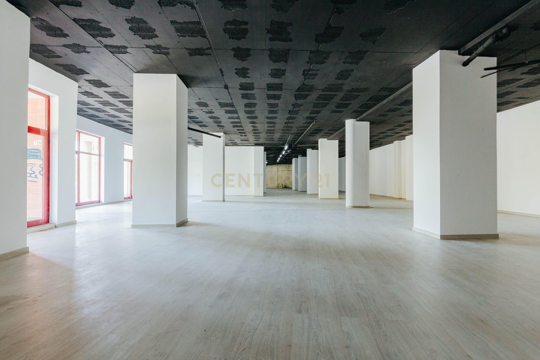 Barcarena, Lisbon, Portugal 1 - 16703977