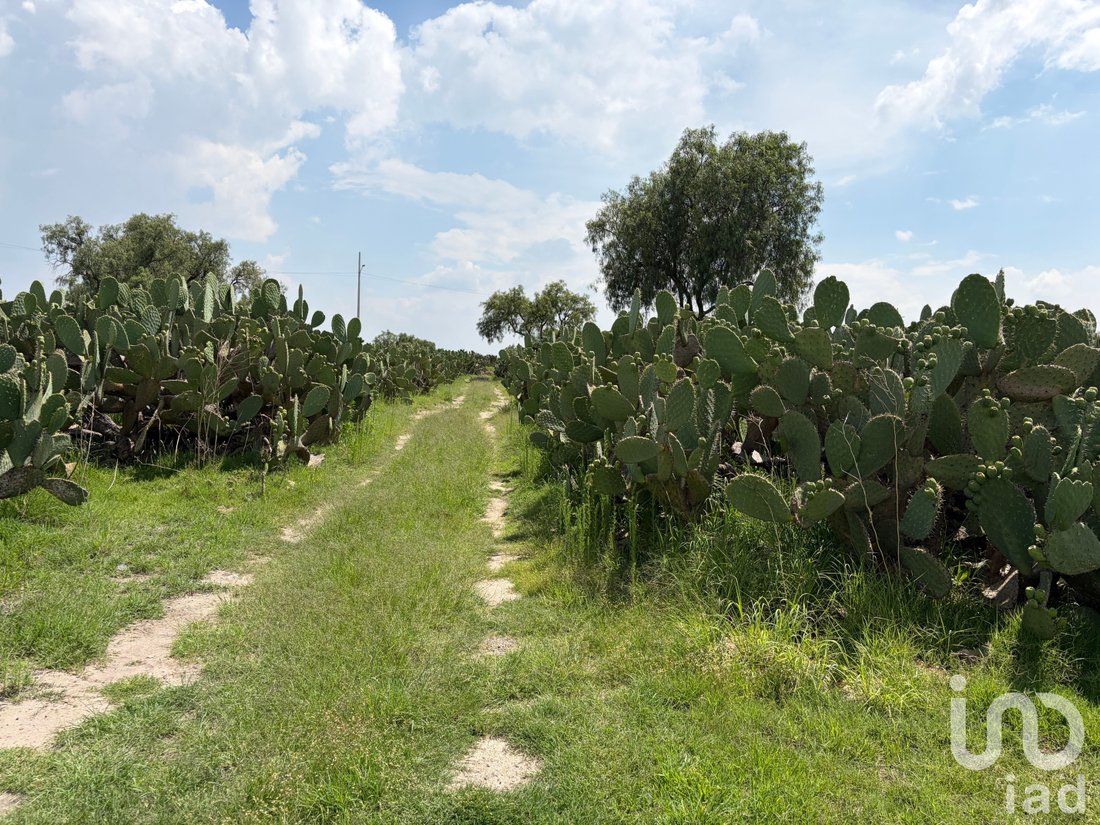 Land in Colonia Chacalco, Bundesstaat Mexiko, Mexiko 1 - 18404527