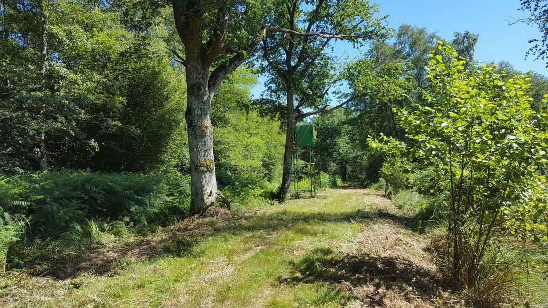 Land in Clémont, Centre-Val de Loire, France 3 - 18405963