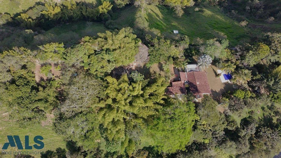 Finca in Gómez Plata, Antioquia, Colombia 2 - 18403634