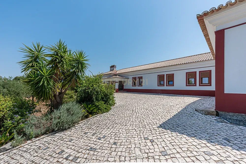 Farm Ranch in Palmela, Setubal, Portugal 3 - 18411946