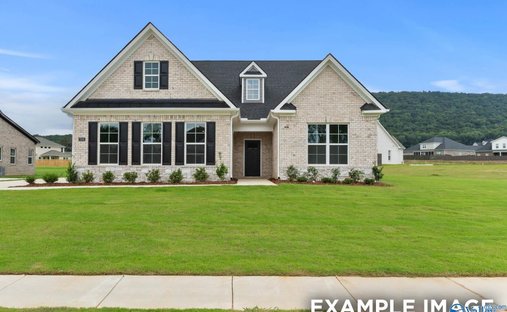 Haus in Gurley, Alabama, Vereinigte Staaten 1