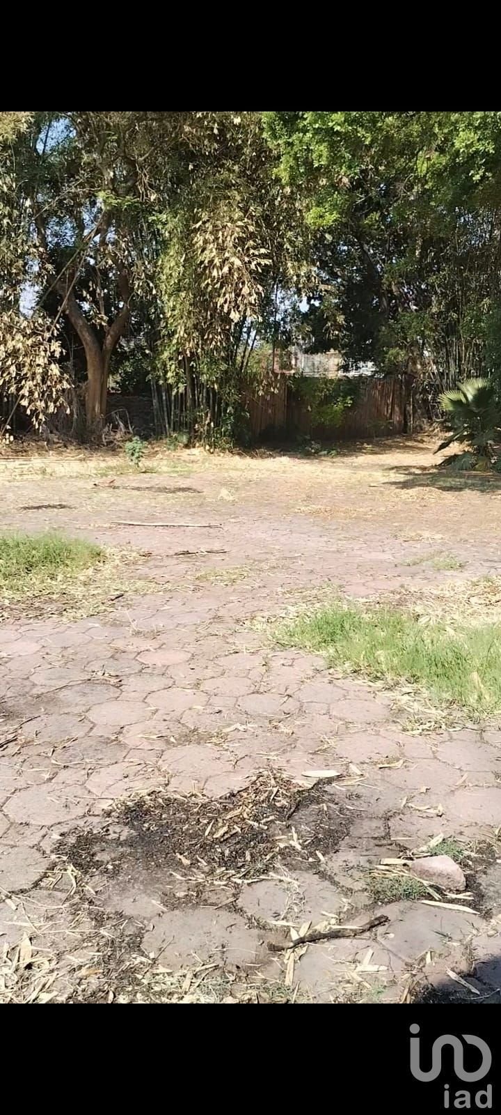 House in Cuernavaca, Morelos, Mexico 4 - 18404521