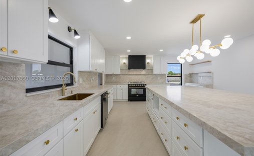 House in Miami, Florida, United States 1