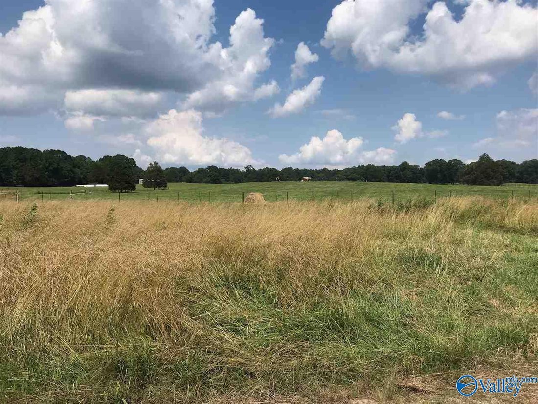 Farm Ranch in Decatur, Alabama, United States 5 - 18407237