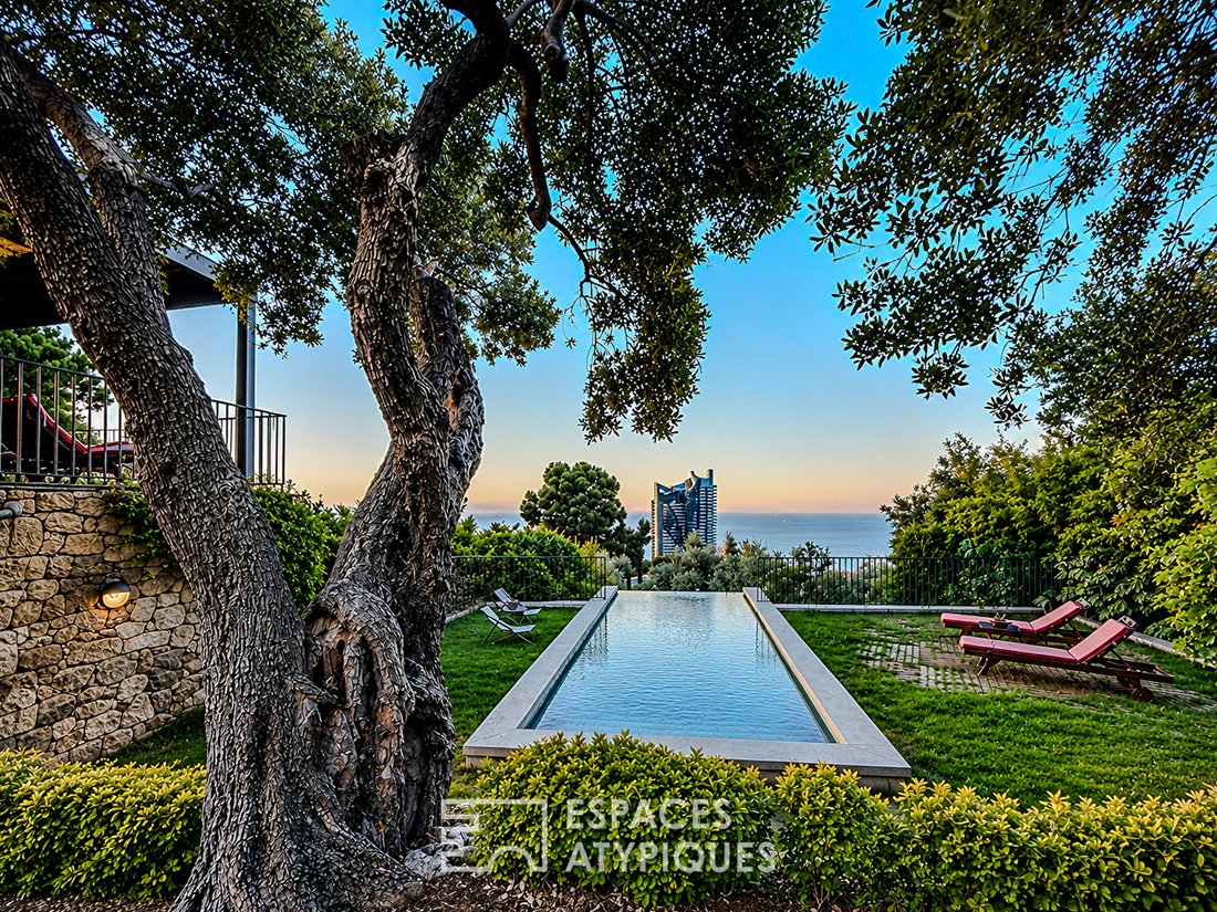 Villa à Supérieur, Beausoleil, France 1 - 18409540