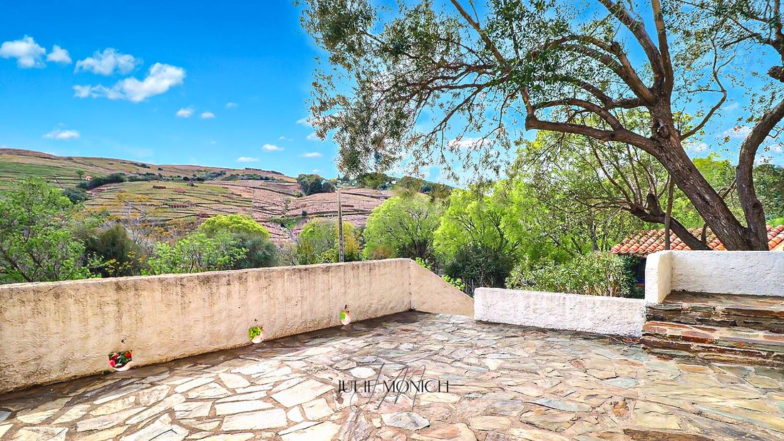 Villa in Ouest, Banyuls-sur-Mer, France 2 - 18405415