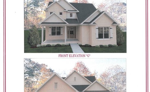 House in Spring Hill, Tennessee, United States 1