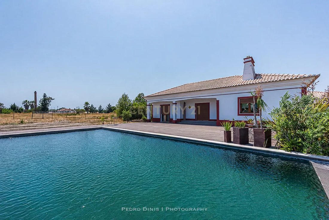 Farm Ranch in Palmela, Setubal, Portugal 1 - 18411946