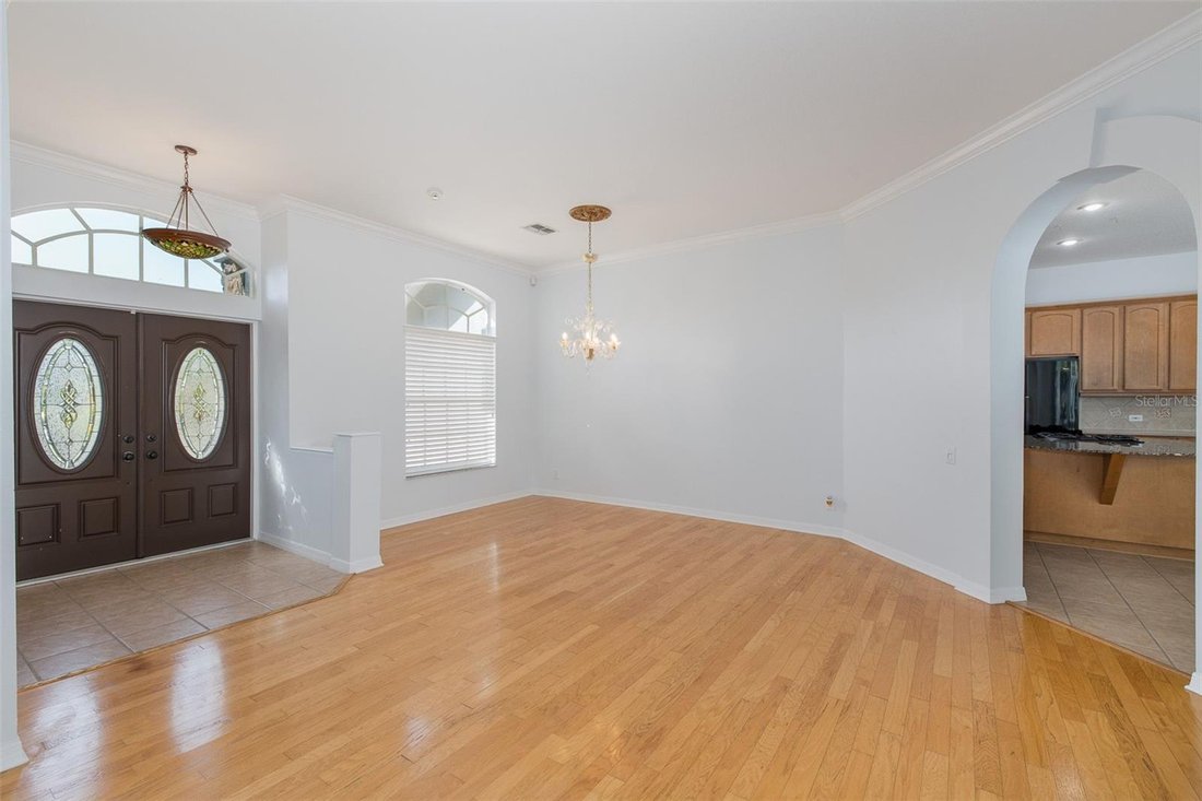 House in Trinity, Florida, United States 5 - 18407855