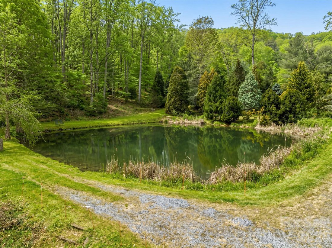 House in Leicester, North Carolina, United States 4 - 17124247