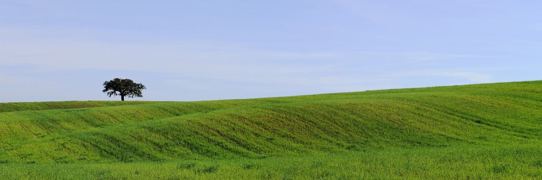 Land in Cercal, Setubal, Portugal 3 - 18412453