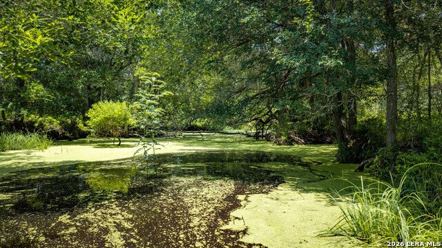 Farm Ranch in Kingsbury, Texas, United States 2 - 18417986