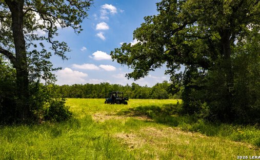 Farm Ranch in Kingsbury, Texas, United States 1