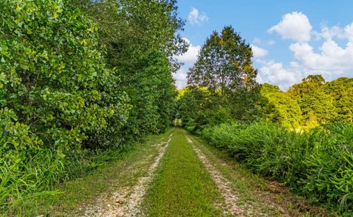 Farm Ranch in Koshkonong, Missouri, United States 1