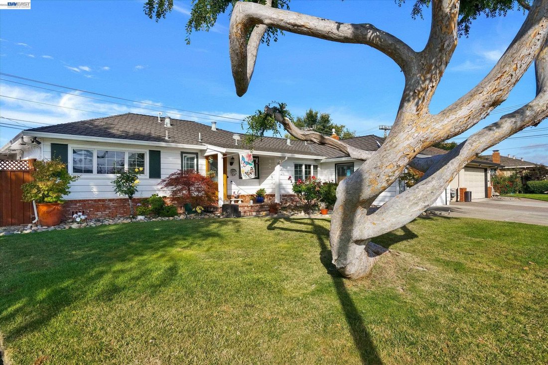 House in Newark, California, United States 3 - 18407524
