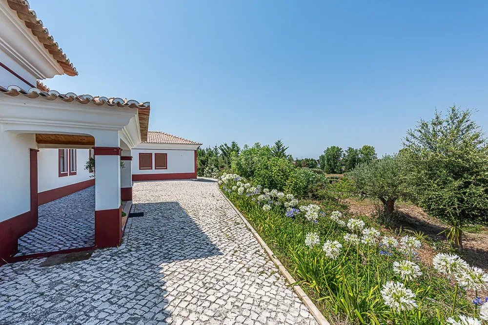 Farm Ranch in Palmela, Setubal, Portugal 4 - 18411946