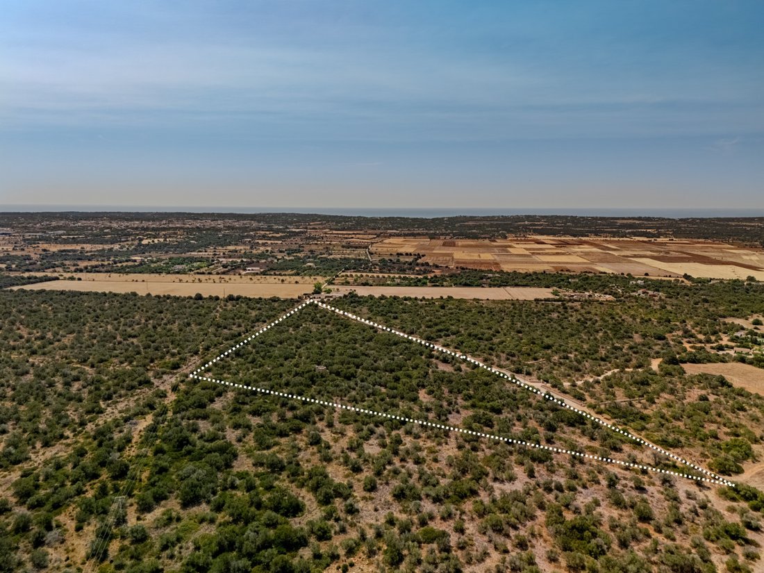 Terreno a Santanyí, Isole Baleari, Spagna 2 - 18410393