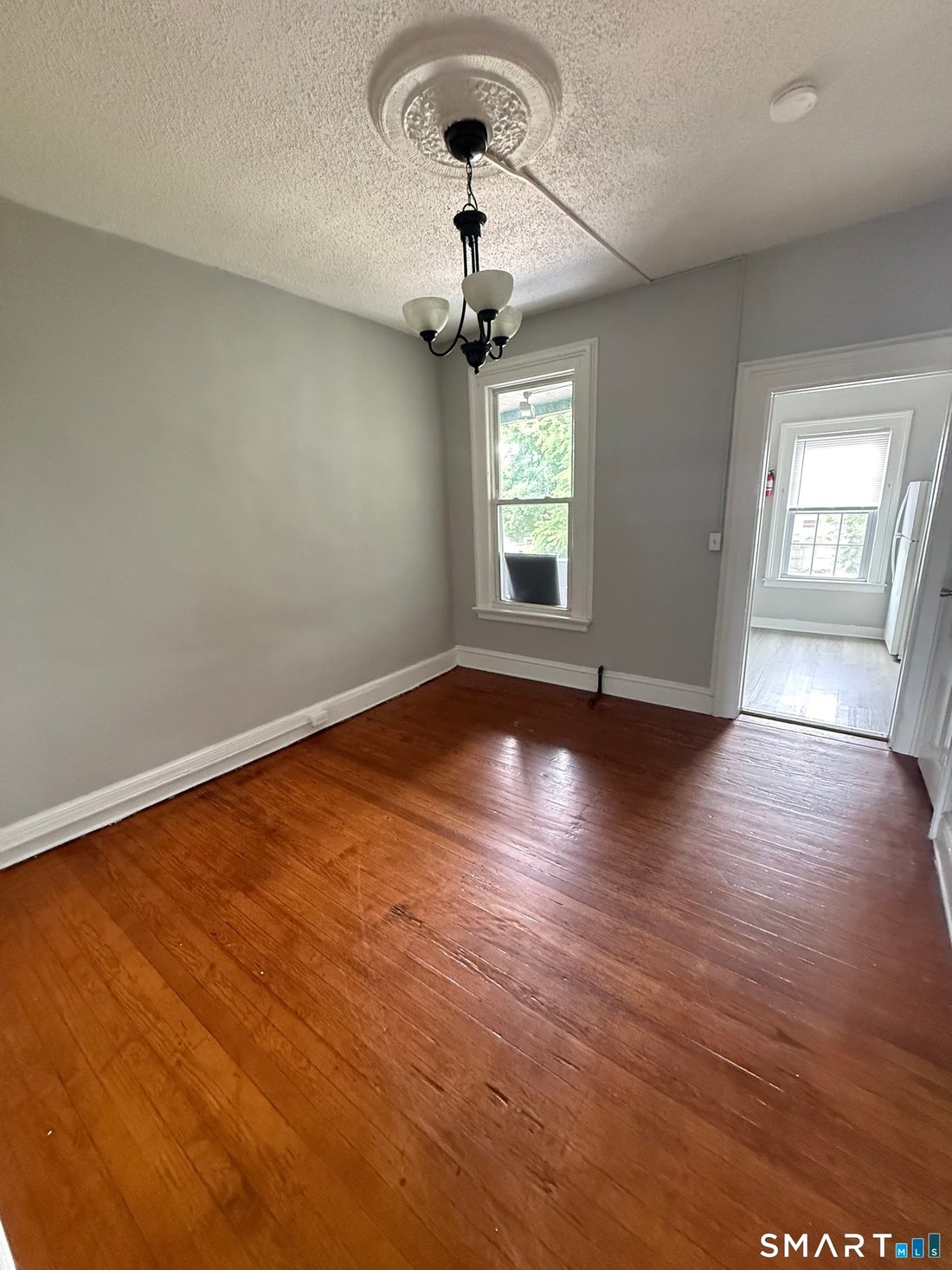 New Haven, Connecticut, United States 5 - 18414477