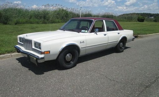 Plymouth Gran Fury in Calverton, NY, United States 1