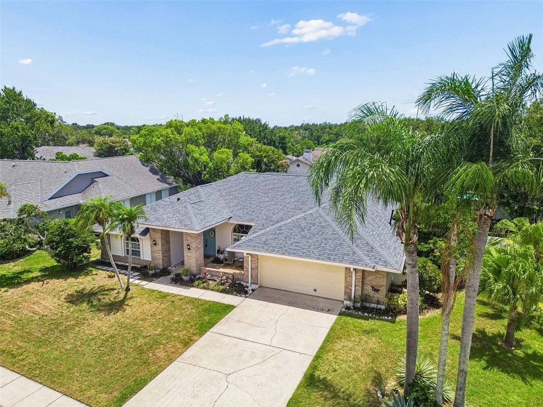 House in Palm Harbor, Florida, United States 1 - 18407824