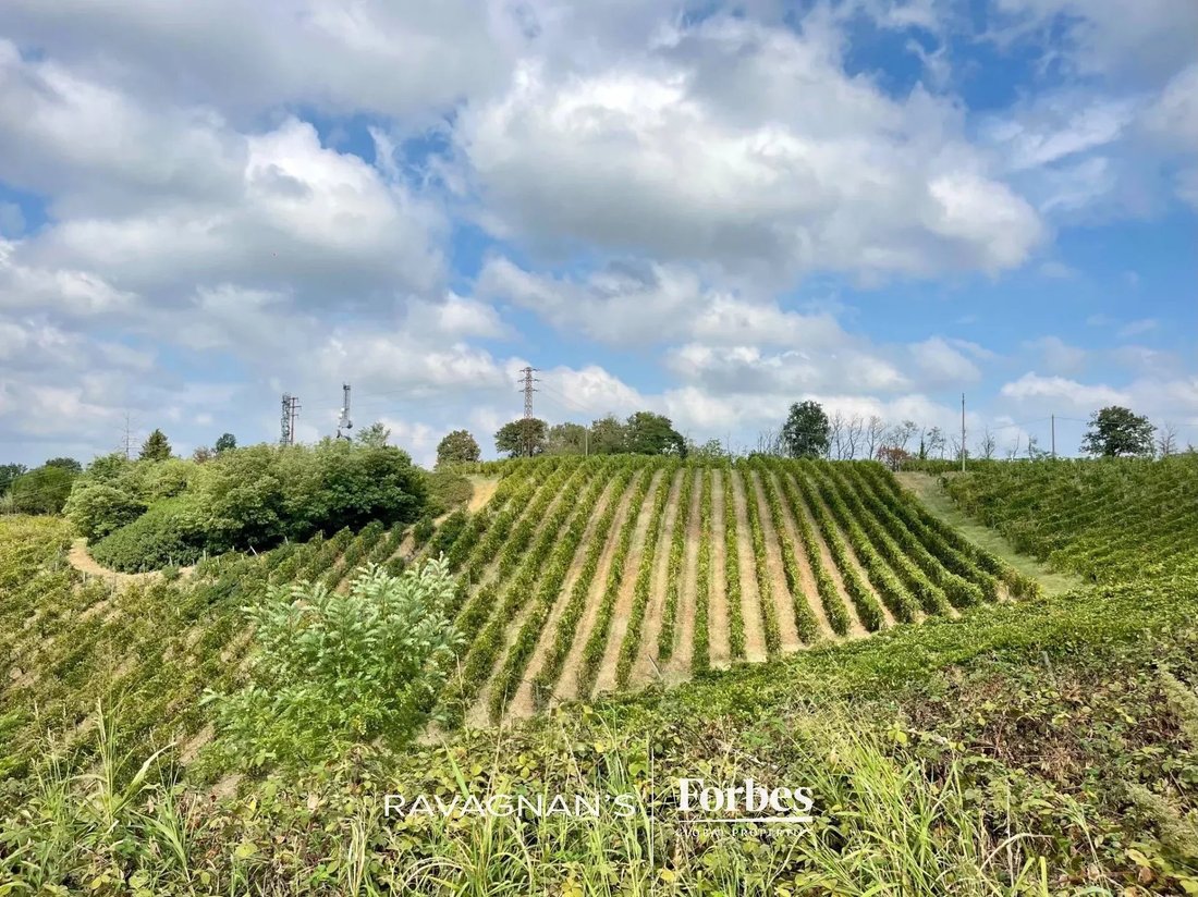 Land in San Colombano al Lambro, Lombardy, Italy 5 - 18404736