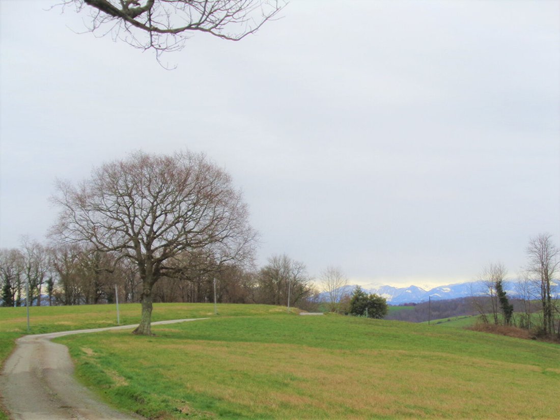 Land in Bidache, Nouvelle-Aquitaine, France 3 - 18405920