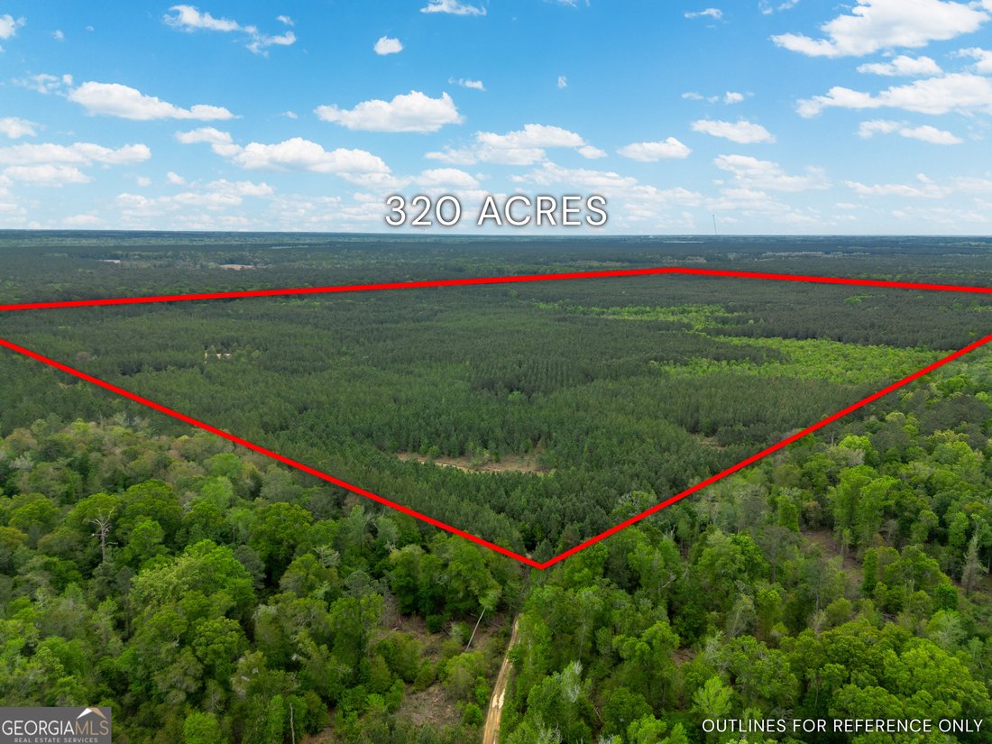 Farm Ranch in Abbeville, Georgia, United States 1 - 18417383