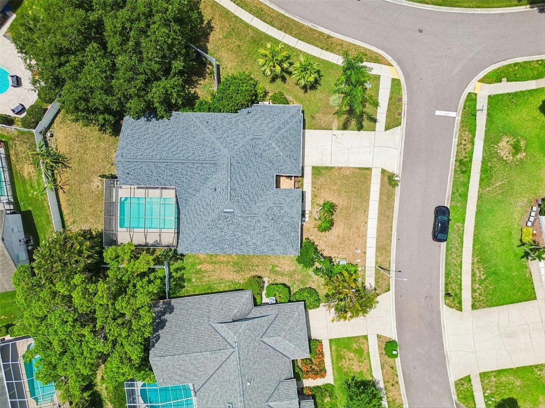 House in Palm Harbor, Florida, United States 5 - 18407824