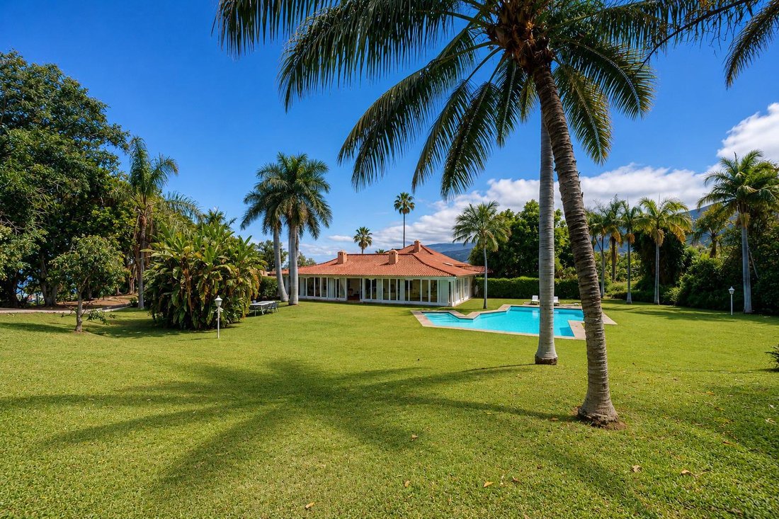 Villa in Puerto de la Cruz, Canary Islands, Spain 2 - 17981835