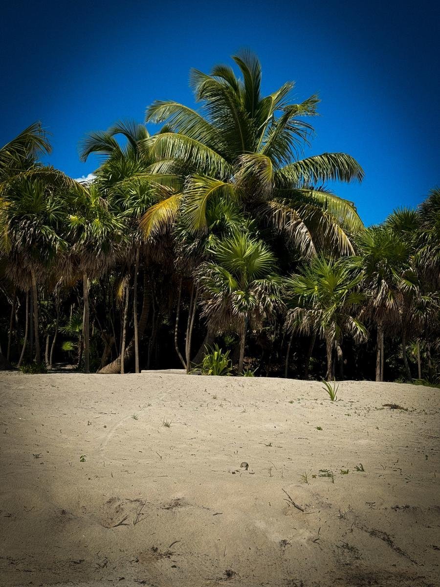 Villa in Tulum, Quintana Roo, Mexico 4 - 18404643
