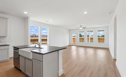 House in Houston, Texas, United States 1