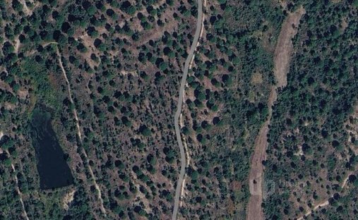Anwesen in Vendas Novas, Distrikt Évora, Portugal 1
