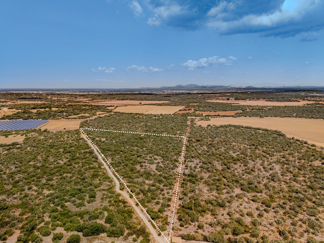 Terreno a Santanyí, Isole Baleari, Spagna 3 - 18410393