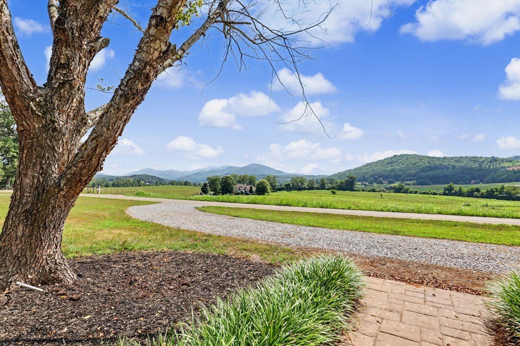 Brasstown, North Carolina, United States 2 - 18406775