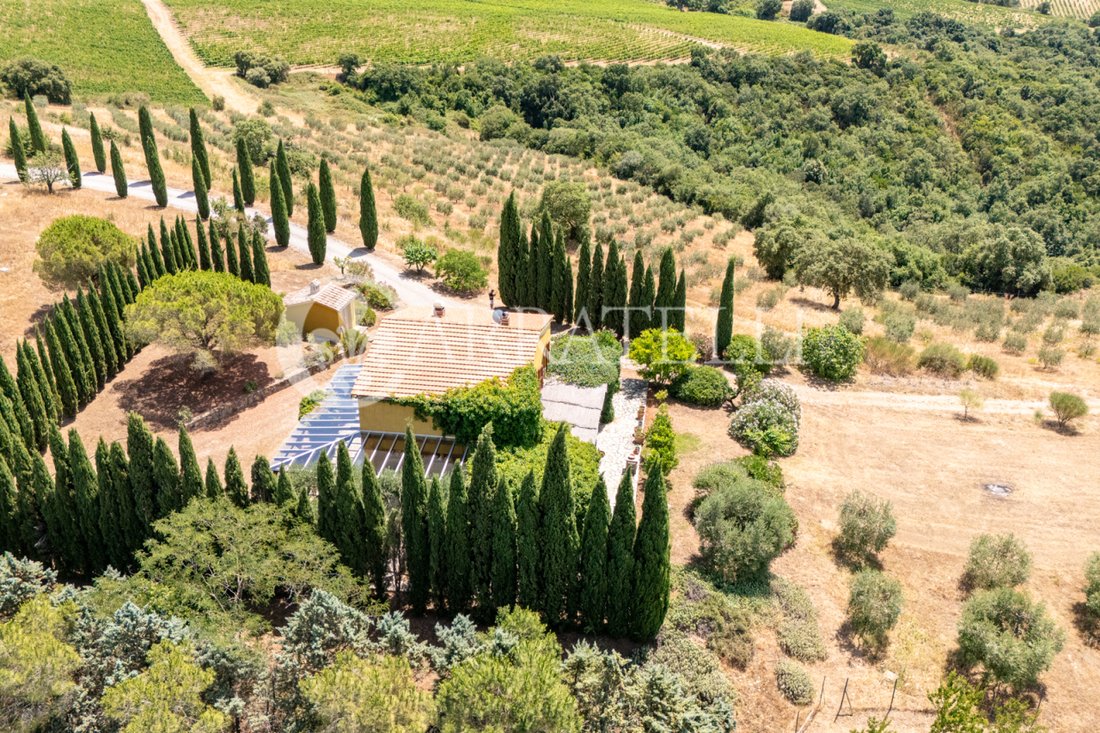 Country House in Magliano in Toscana, Tuscany, Italy 2 - 18407647